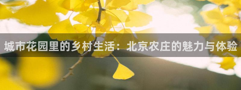 必一体育sport