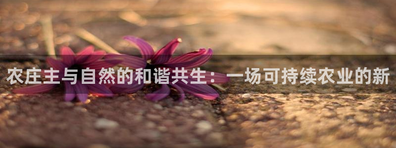 必一体育官方网站入口