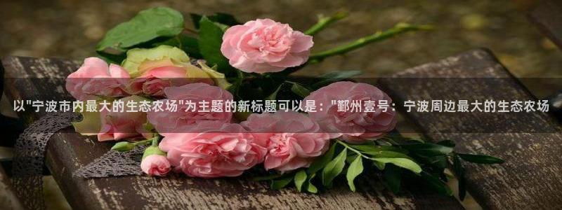 必一体育官方下载入口