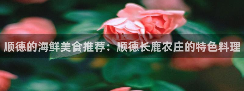 必一运动体育官网