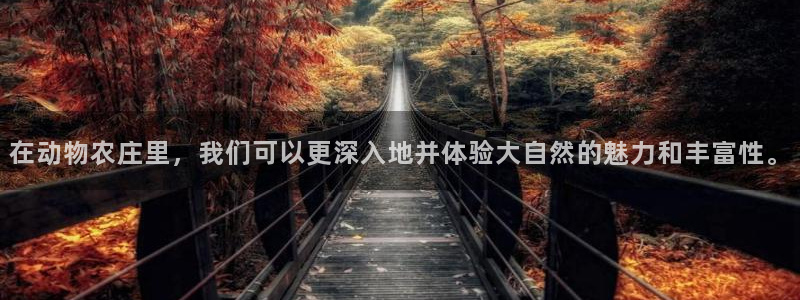 必一体育官方网站入口