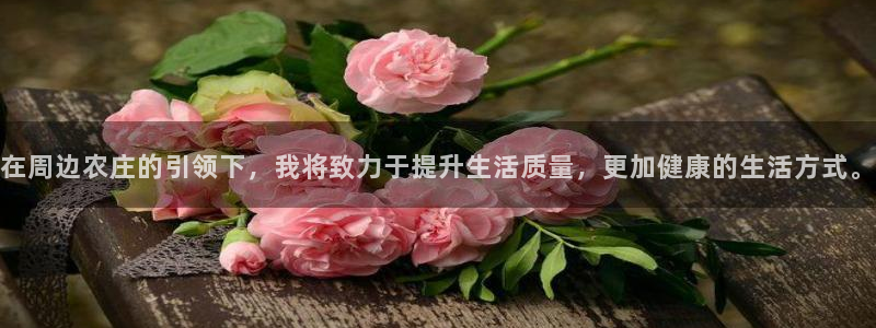 必一运动·(b-sports)官方网站