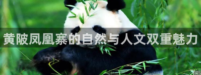 必一体育流水线是什么意思