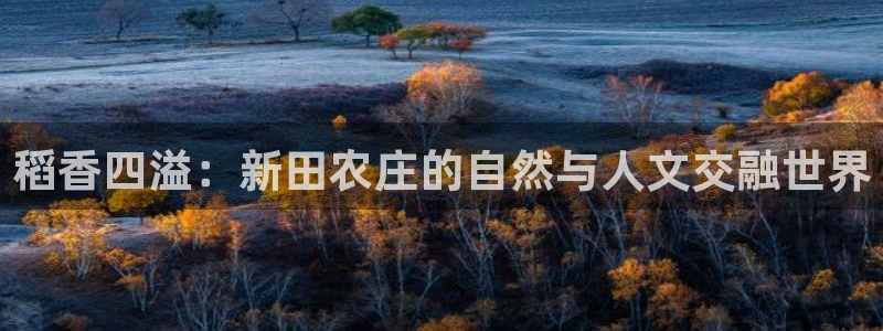 必一体育运动平台官网