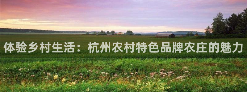 必一体育在哪下