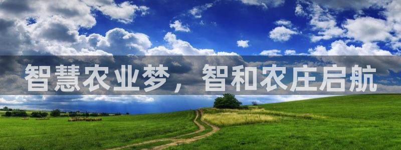 必一体育网页登录版官网