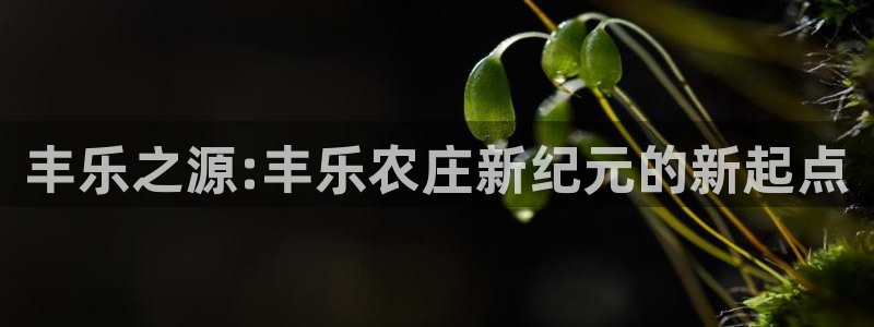 必一体育运动app