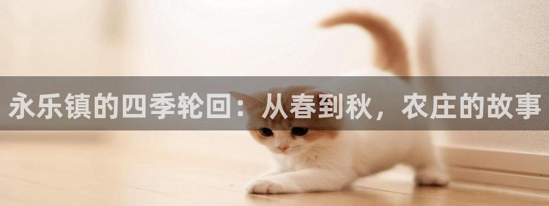 必一体育app官方网站