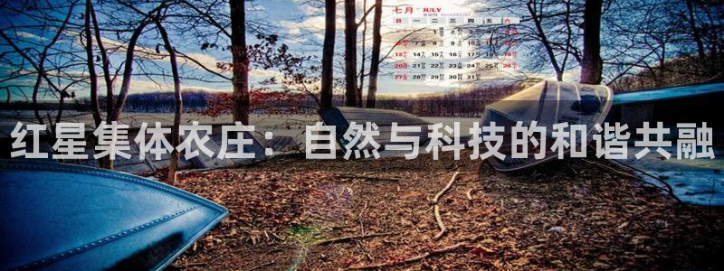 必一体育下载义