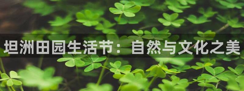 必一体育sport下载