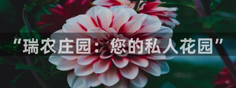 必一体育全站在线登录入口