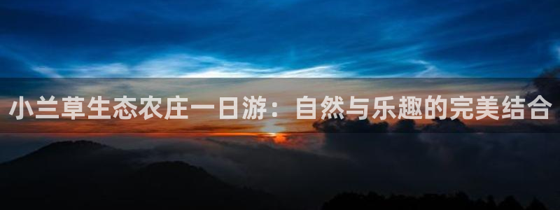 必一体育运动平台官网