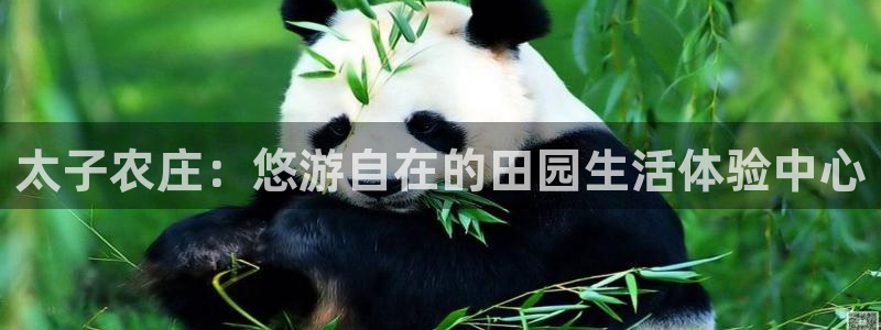 必一体育网页版登录