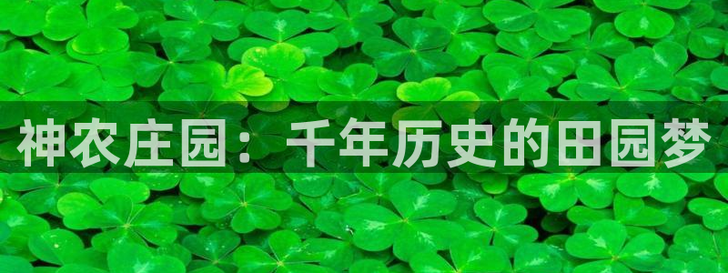 必一体育app官方网站