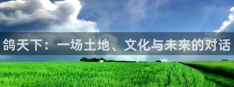 必一运动sport爱查股