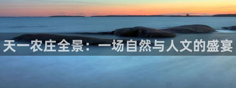 必一运动 b 体育素描版