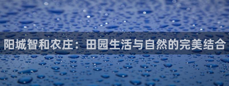 必一体育下载秀给网