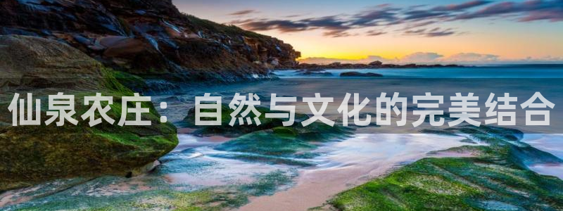 必一体育在线玩