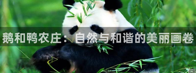 必一体育运动下载