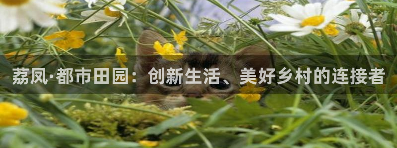 必一体育下载移动版