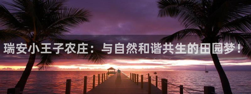 必一体育官网网站