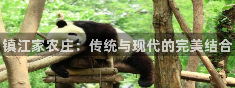 必一体育登录入口