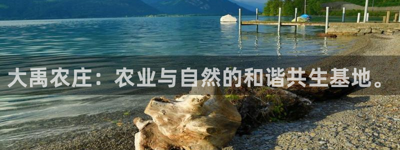 必一运动bsport体育app下载