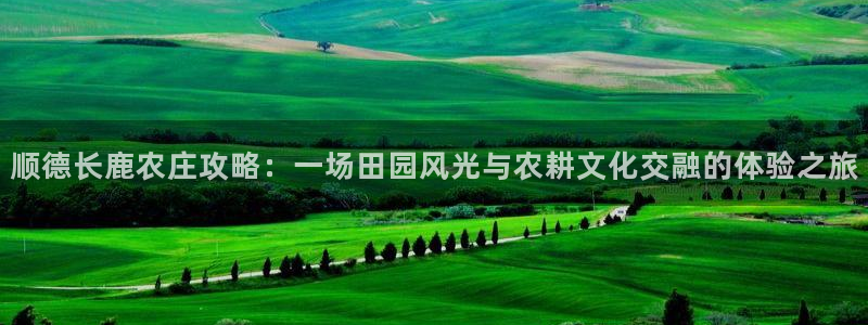 必一体育服下载最新版本更新内容