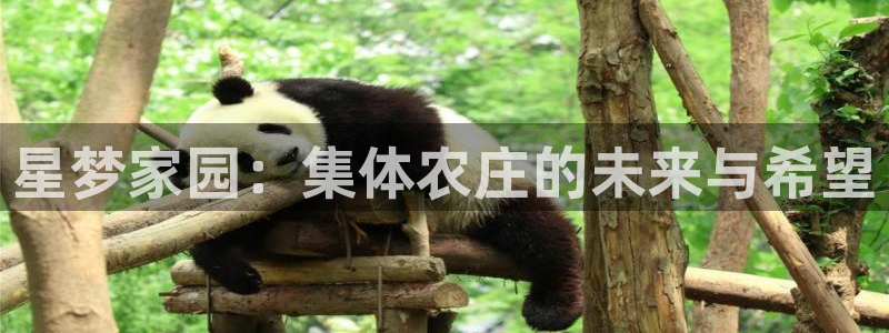 必一体育在线登录