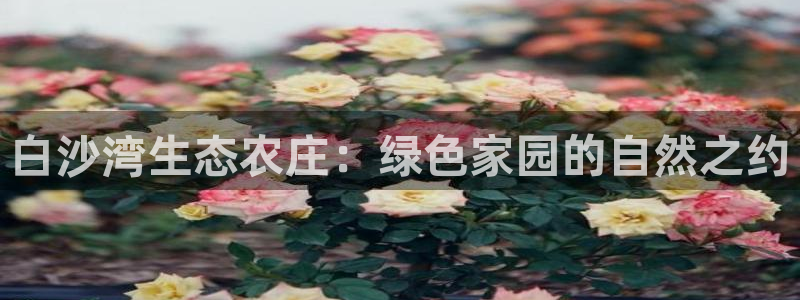 必一体育登录入口