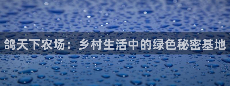 必一运动体育官网下载