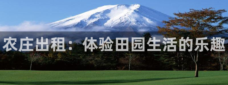 必一体育能提现大金额吗