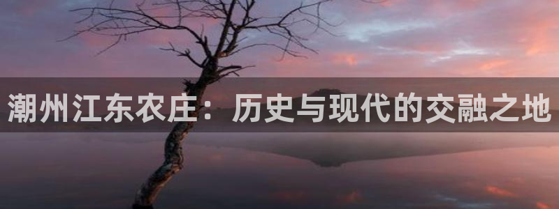 必一体育运动官网