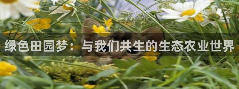 必一运动sport爱查股