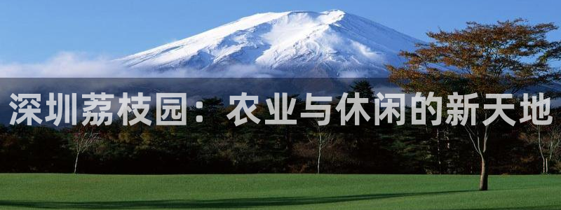 必一运动sport网页版