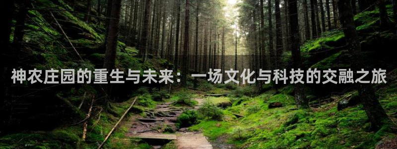 必一体育电子app