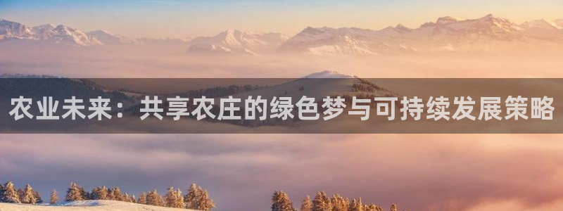 必一体育在哪下