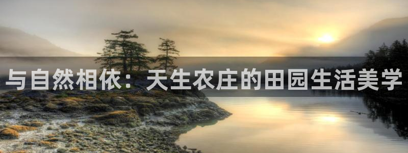 b体育必一运动网页版在线登录入口