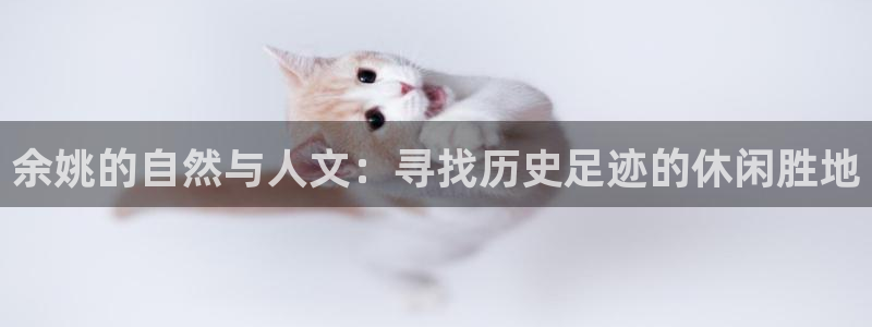 必一体育验证码