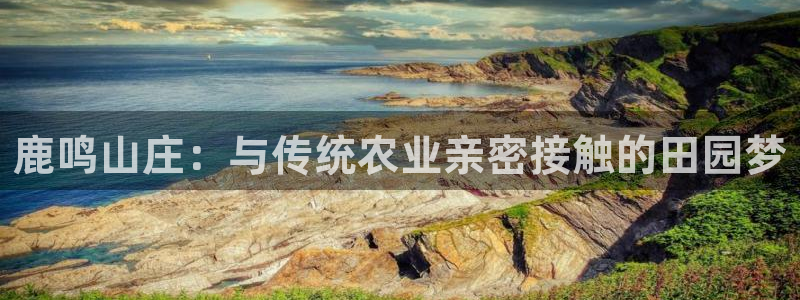 必一体育sport官方网站