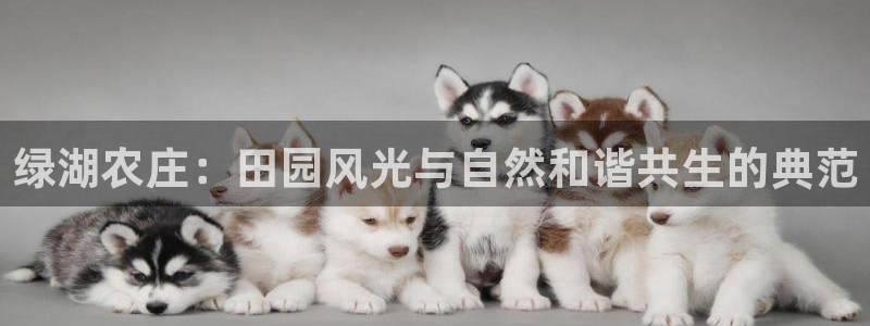 必一体育下载入口