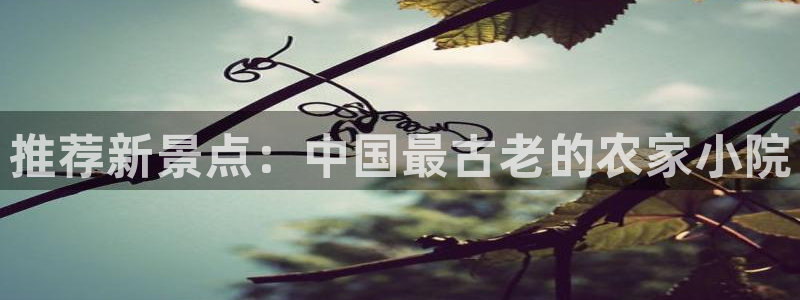 必一运动tieba.baidu.com