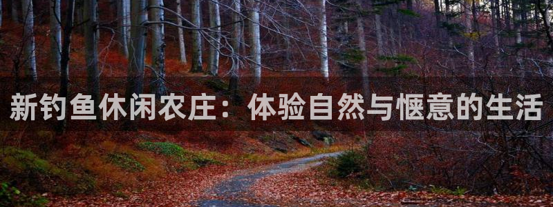 必一体育官方下载入口