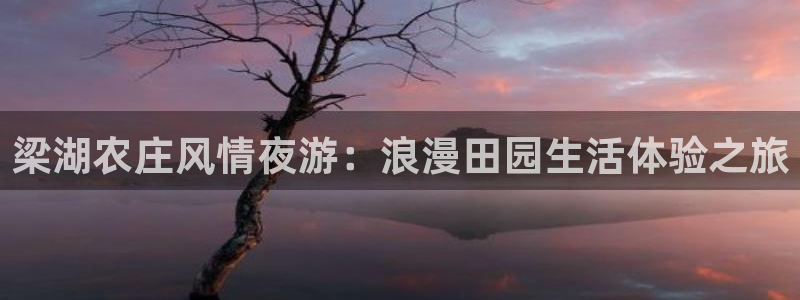 必一体育在线玩