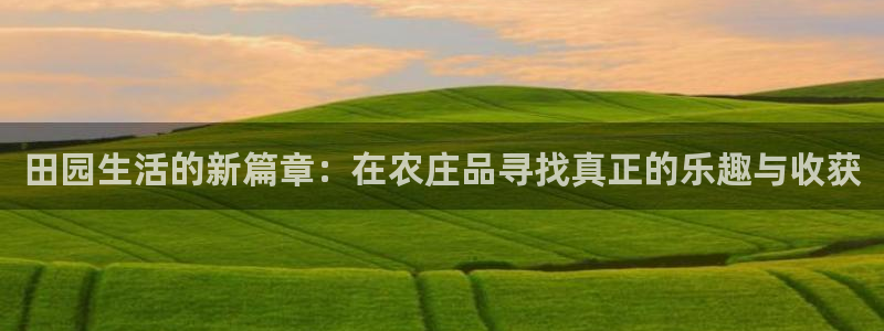 必一体育官网app