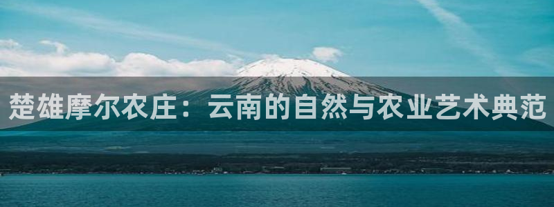 必一运动 b 体育素描版