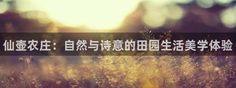 必一体育下载入口