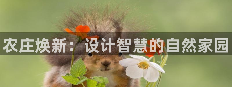 必一体育app官方下载