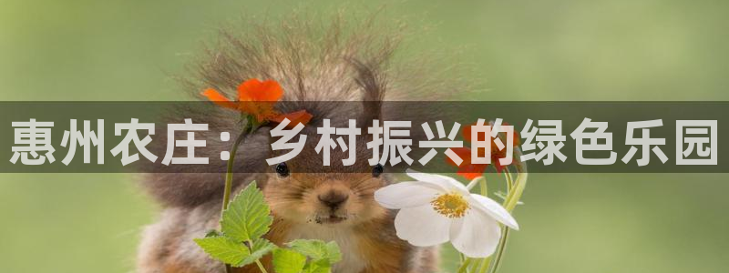 必一运动官网入口