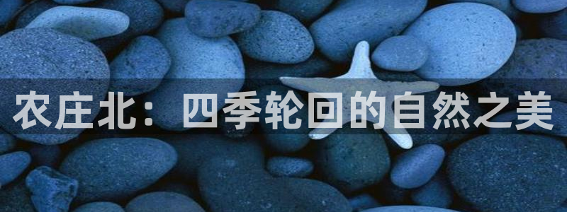 必一体育合法吗